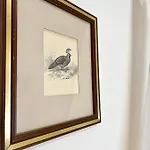 Ξενοδοχείο Piccolo Etruria 2*