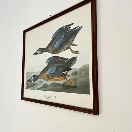 Szálloda Piccolo Etruria 2*