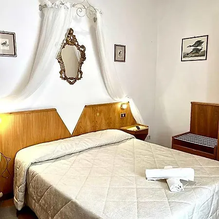 Piccolo Etruria Siena
