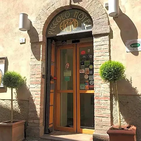 Piccolo Etruria Siena