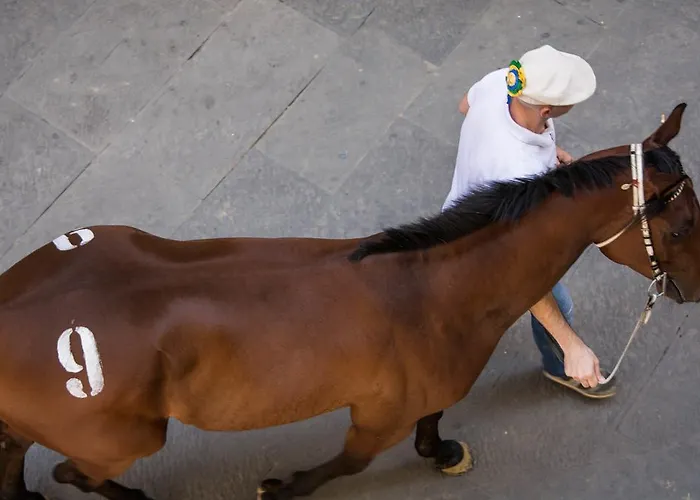 Ξενοδοχείο Piccolo Etruria