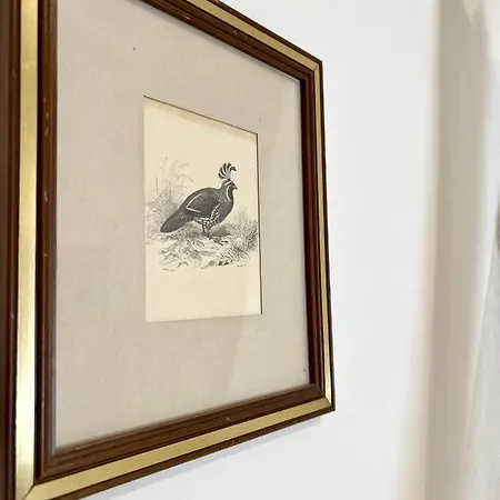 Hotel Piccolo Etruria 2*