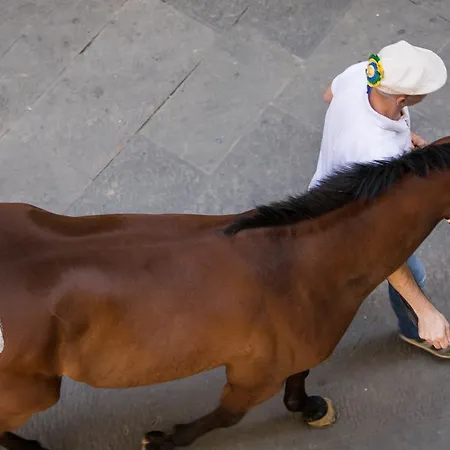 فندق Piccolo Etruria